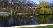 Services - Habitat and Shoreline Restoration