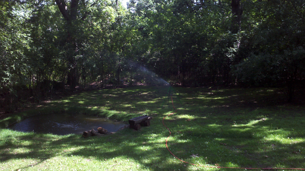 Services- small pond construction